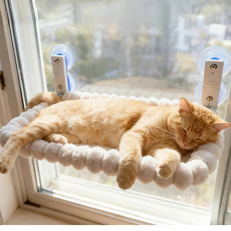 Cat Window Perch with Suction Cup Mounting