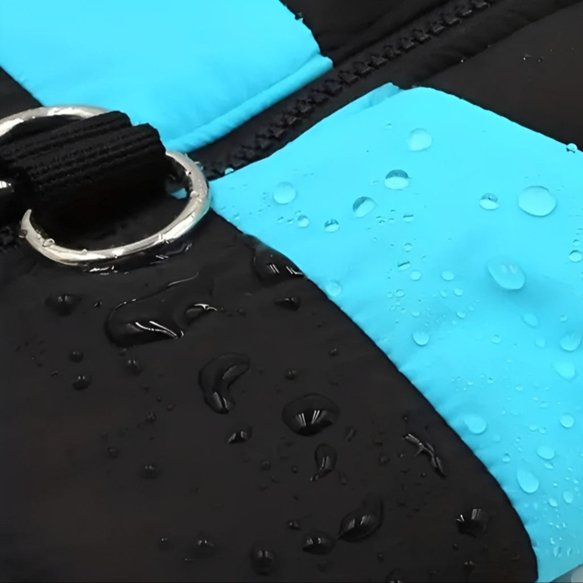 Padded Dog Coat with Zip Fastening and Built-In Lead Attachment