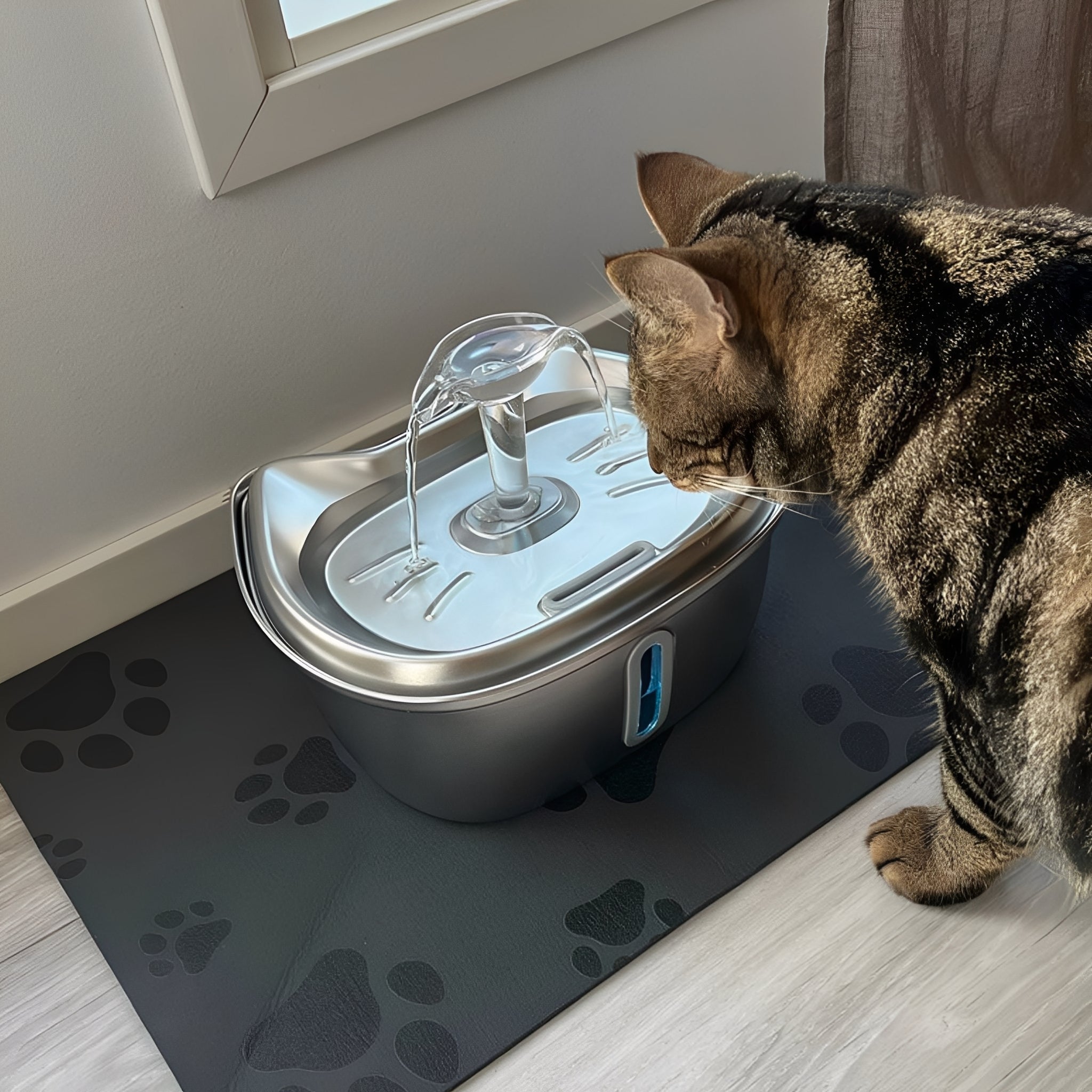 3L Stainless Steel Pet Water Fountain with Filter
