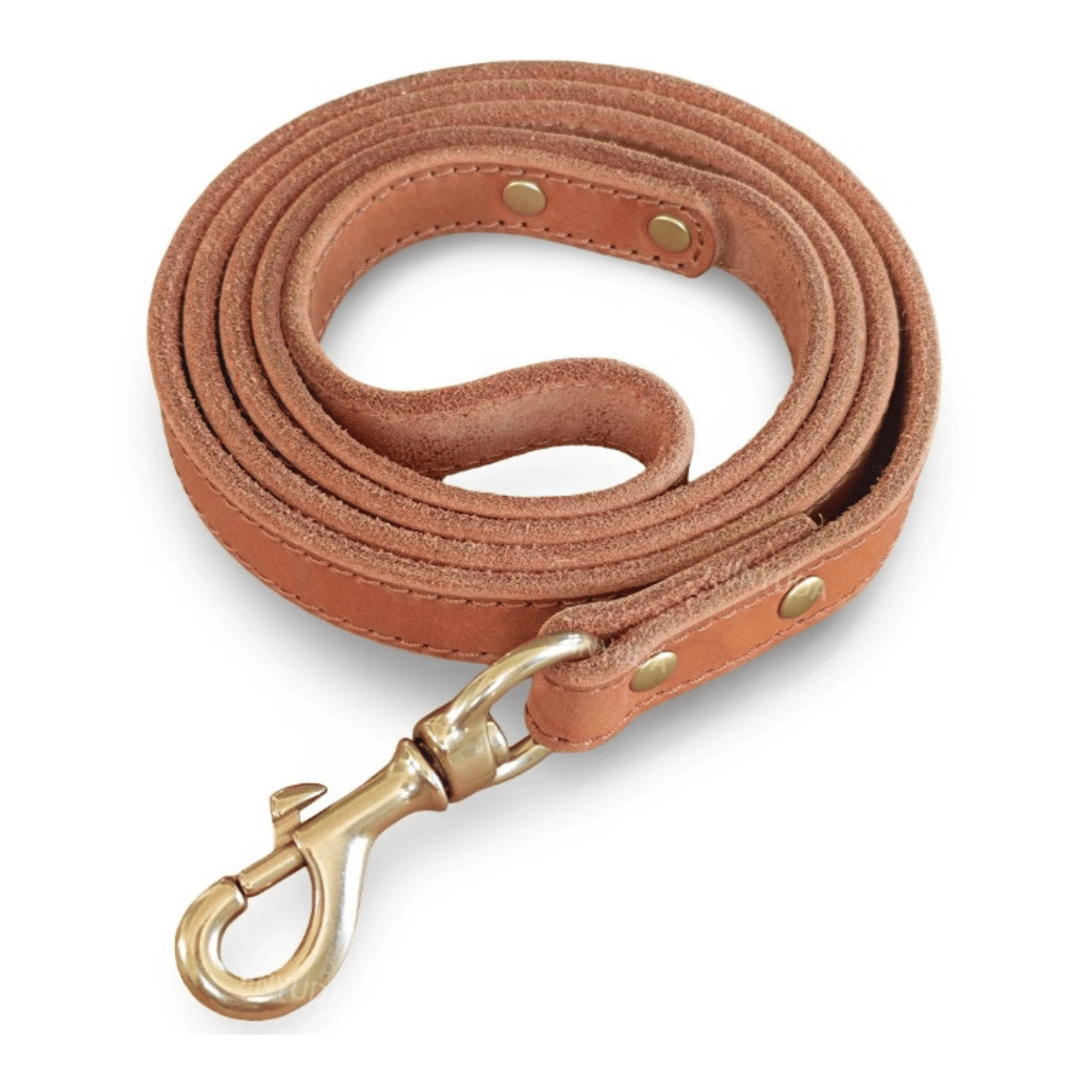 Leather Dog Lead with Gold-Tone Clip Fastening