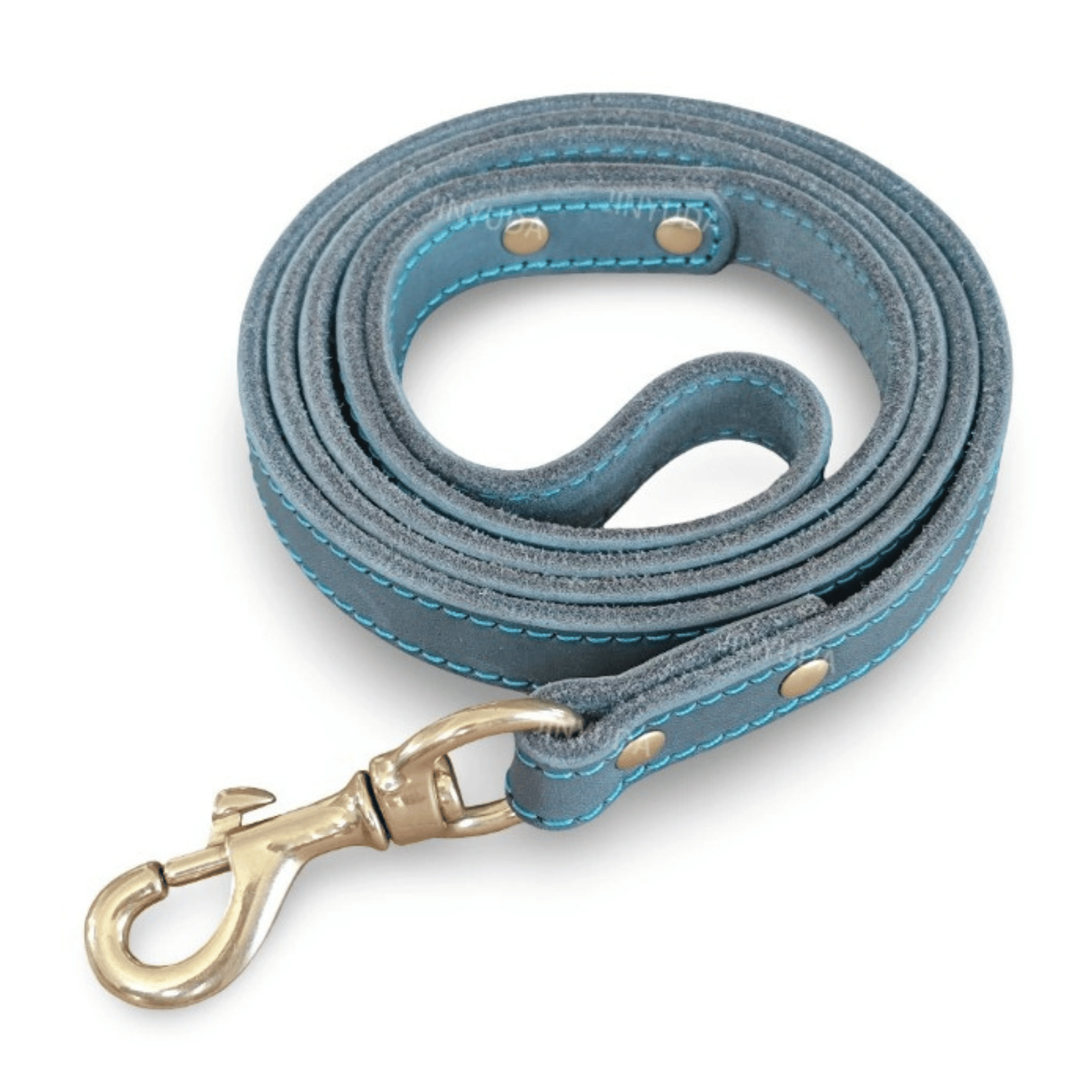 Leather Dog Lead with Gold-Tone Clip Fastening
