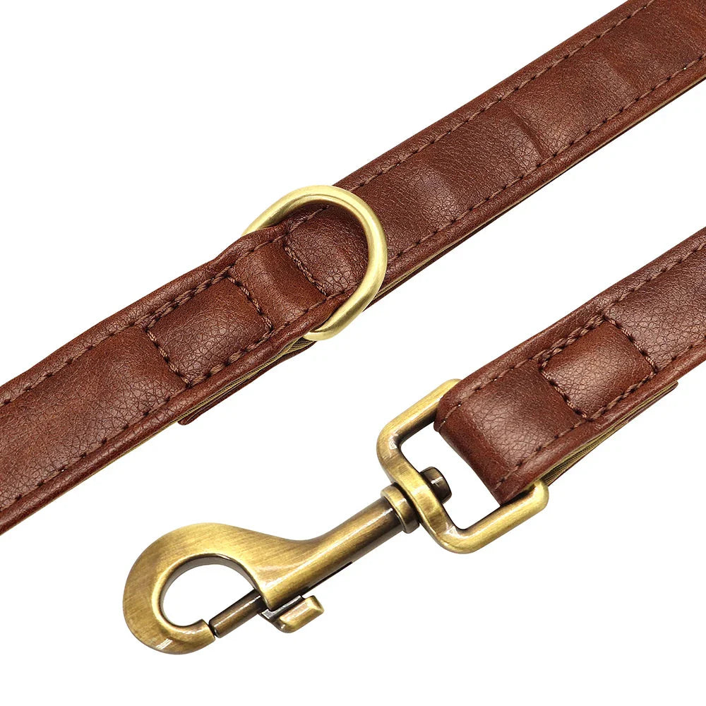 Leather Dog Lead with Gold-Tone Clip Fastening