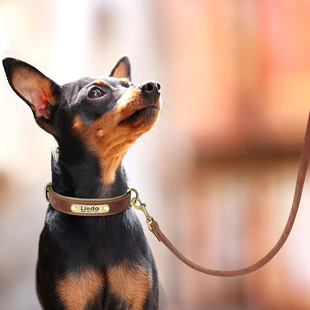 Leather Dog Lead with Gold-Tone Clip Fastening
