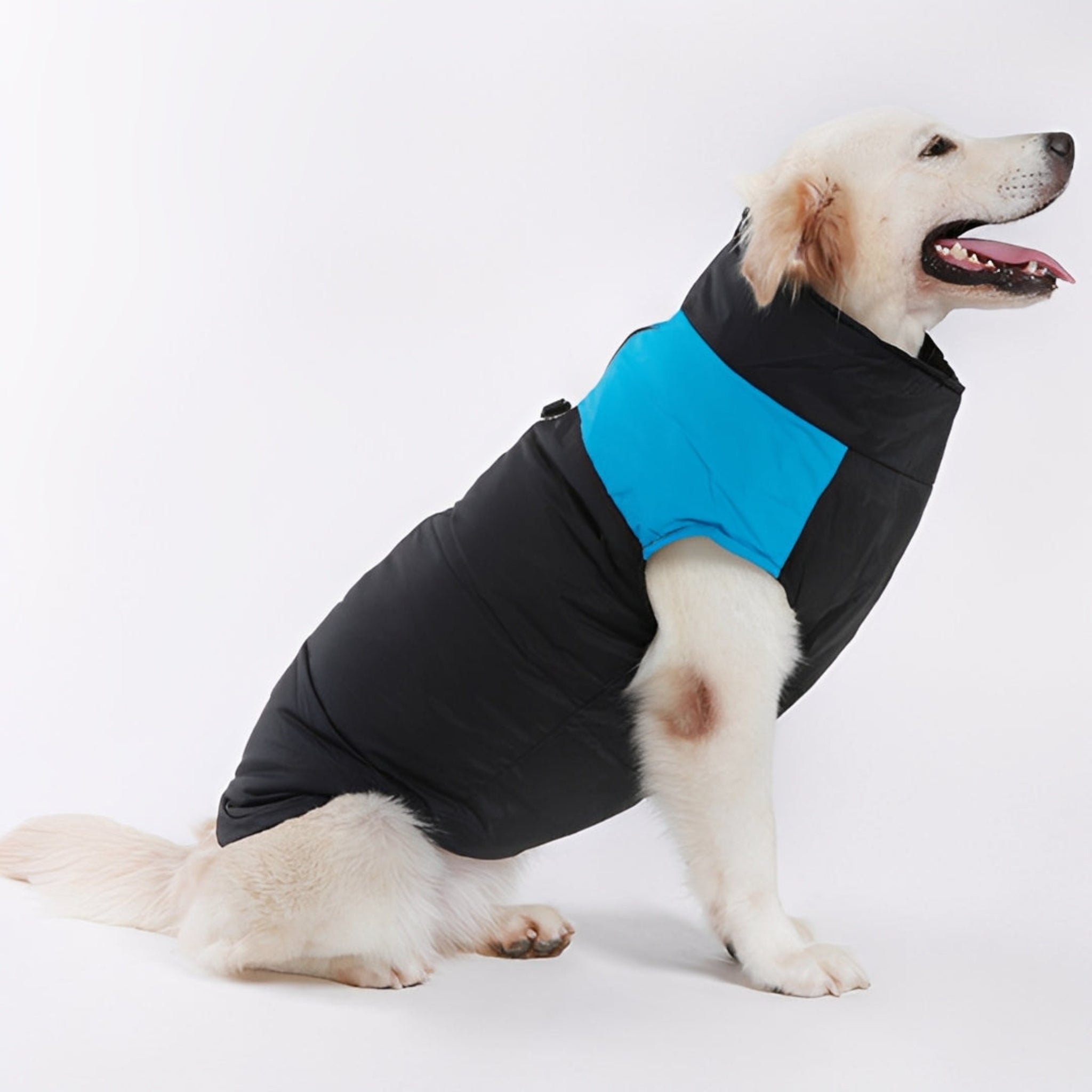 Padded Dog Coat with Zip Fastening and Built-In Lead Attachment