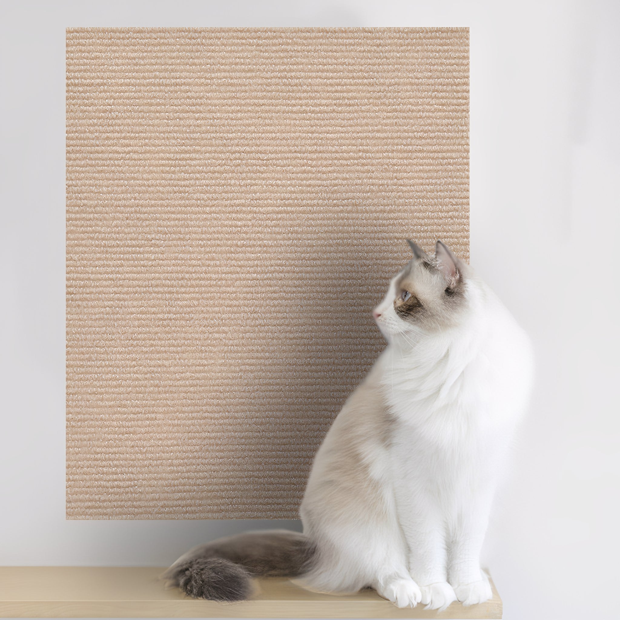 Trimmable Self-Adhesive Cat Scratching Mat