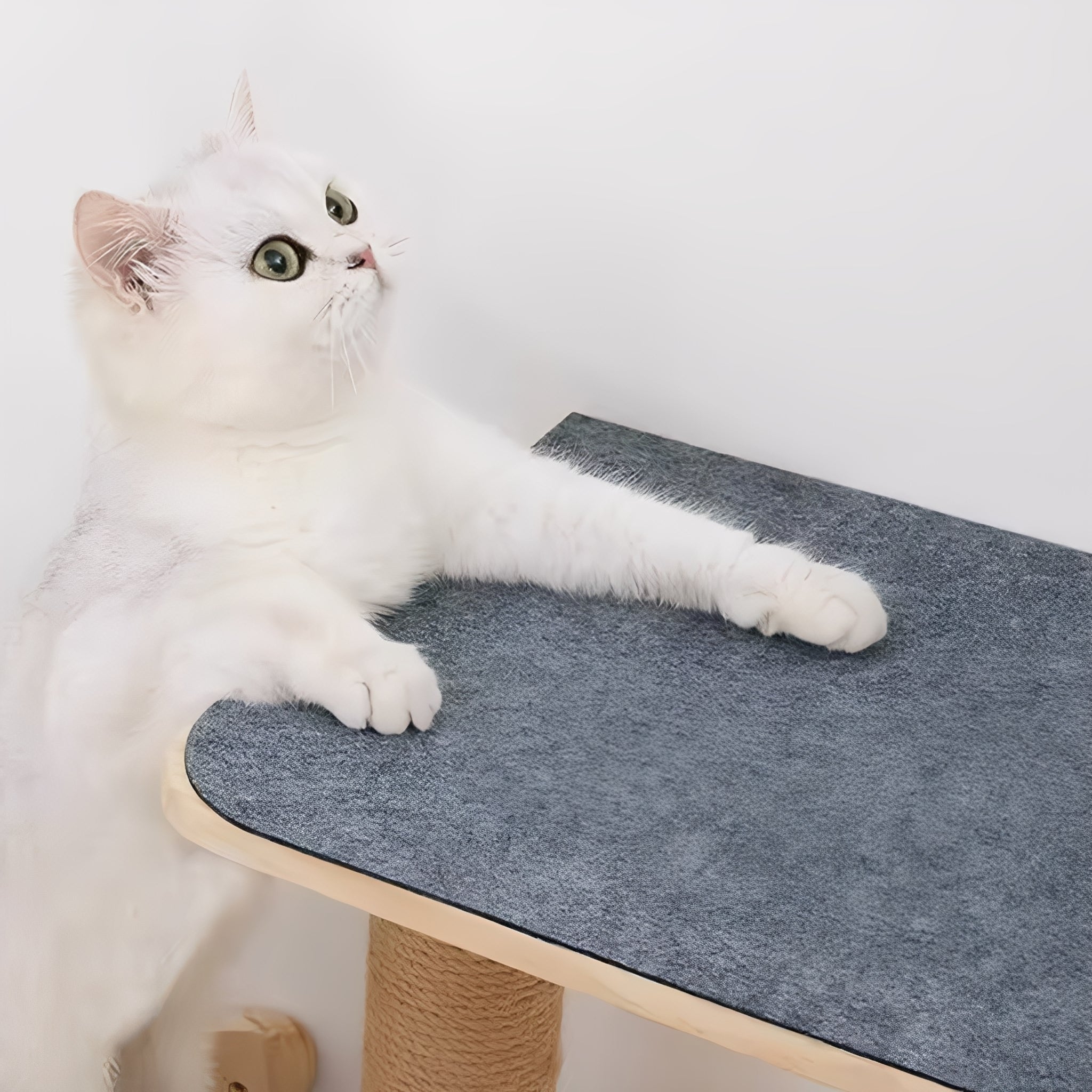 Trimmable Self-Adhesive Cat Scratching Mat