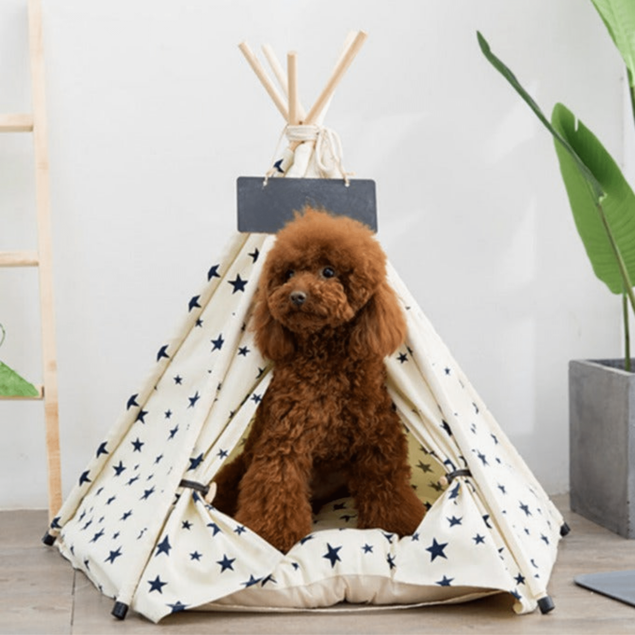 Teepee Pet Tent Bed with Wooden Poles and Removable Cushion